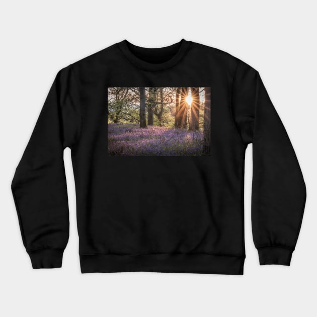 'Sunset Bluebells', Kinclaven Woods, Perthshire. Crewneck Sweatshirt by mucklepawprint